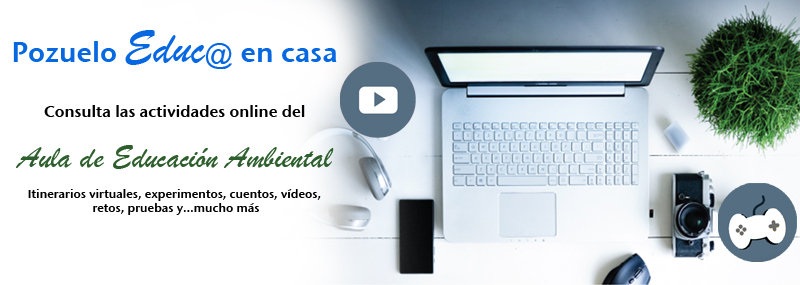 Actividades online del Aula de Educación