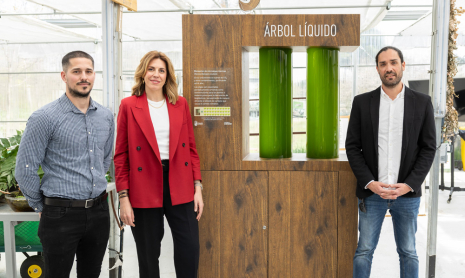 Presentación árbol líquido