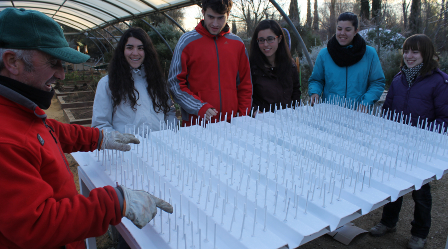 EL AULA DE EDUCACIÓN AMBIENTAL, LABORATORIO VIVO PARA DESARROLLAR PROYECTOS Y PRÁCTICAS UNIVERSITARIAS DE CARÁCTER SOCIAL Y AMBIENTAL