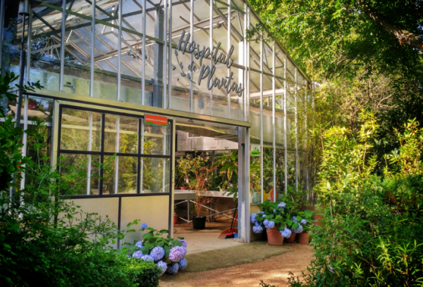 exterior del hospital de plantas